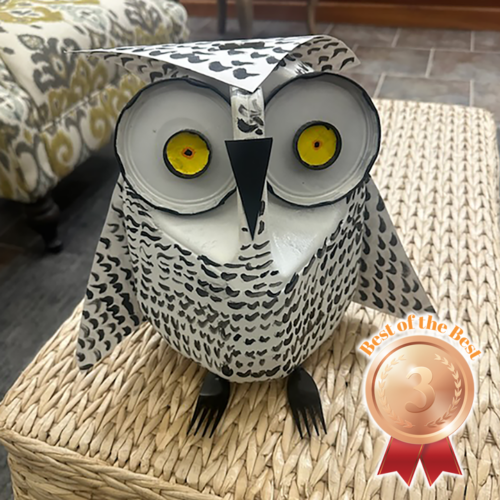 FV_Winner__photo_img