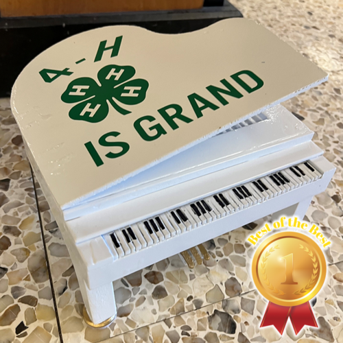 FV_Winner__photo_img