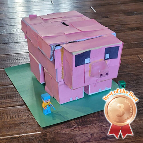 FV_Winner__photo_img