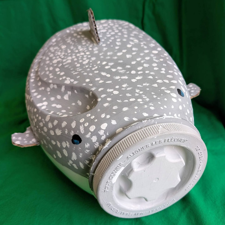 Maddox Morrison_Sequatchie