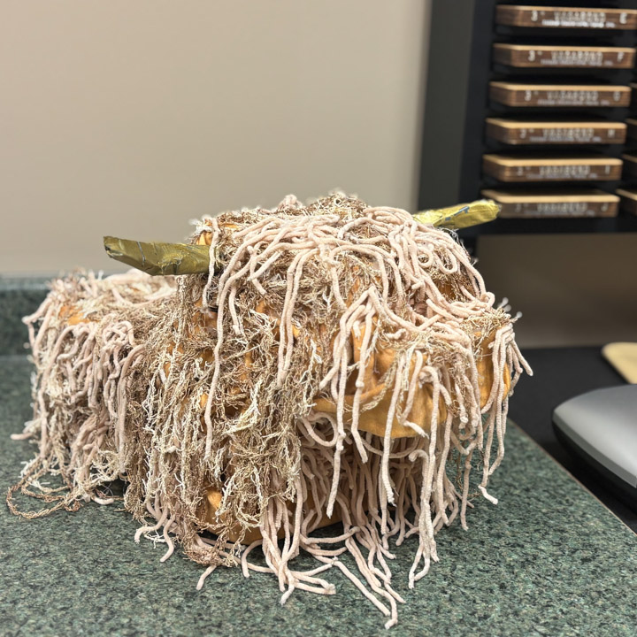 Maverick Hepner_Bedford