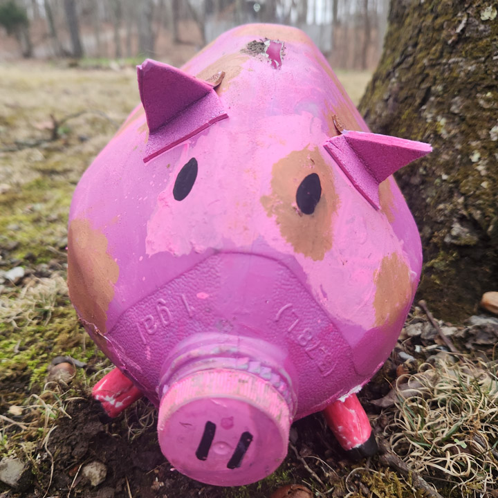 Milena Dmitrievskaya_HAMILTON-2